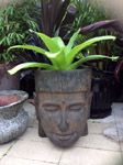 Aztec Pot Head